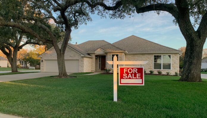 Firefly single story limestone home in a central texas suburb well kept front lawn live oak 469804