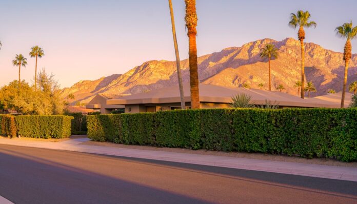 Firefly quiet upscale palm springs street low mid century homes behind green hedges tall pa 772722